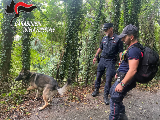 Bocconi avvelenati a Trescore, intervengono i carabinieri forestali con il cane Senna