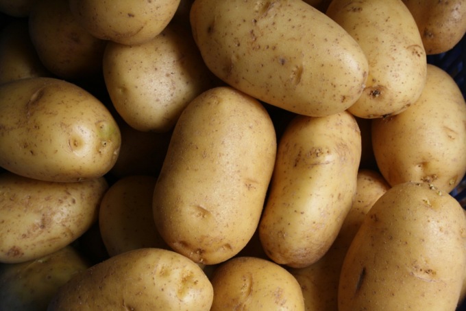 A Martinengo c’è la Festa della patata, per celebrare un tubero unico nel suo genere