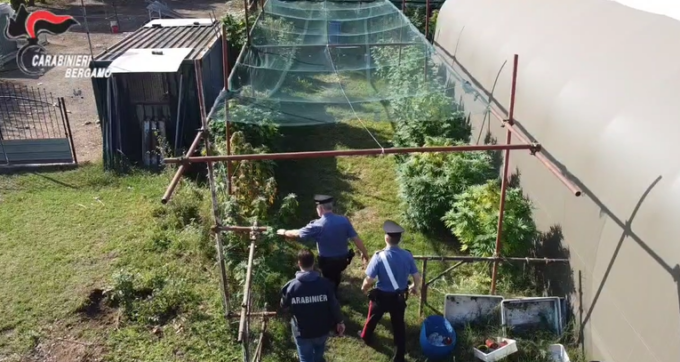 Coltivava marijuana in cascina a Canonica, scoperto grazie al fiuto di Gina
