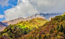 Ammirare il foliage in alta Valle Brembana: due weekend di appuntamenti