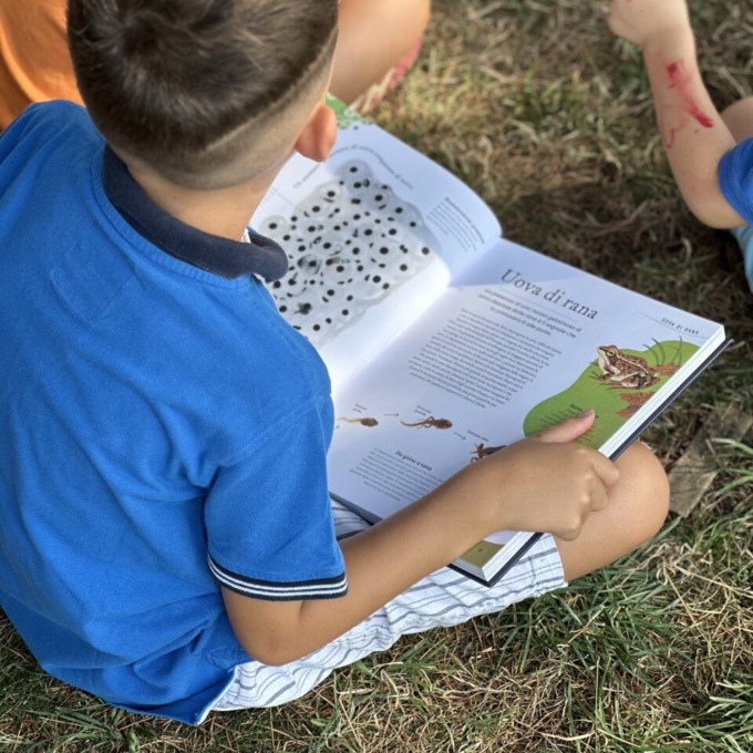 Bandi della Comunità Bergamasca: fondi per progetti su ambiente, salute mentale e lettura