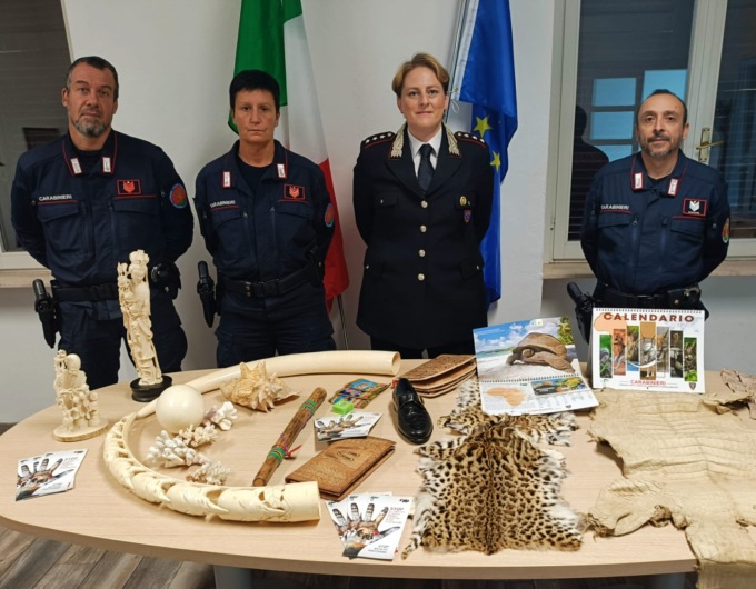 Traffico di specie protette e legname, nel 2024 scoperti dai forestali illeciti per oltre 200mila euro