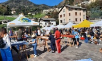 Mele, aperitivi e anche una escape room: a Moio de' Calvi torna la "Festa della Mela"