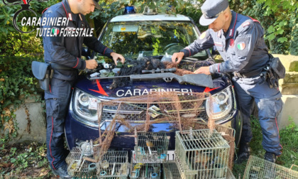 Aveva allestito un capanno di caccia illegale nel proprio giardino: denunciato 70enne di Ponteranica