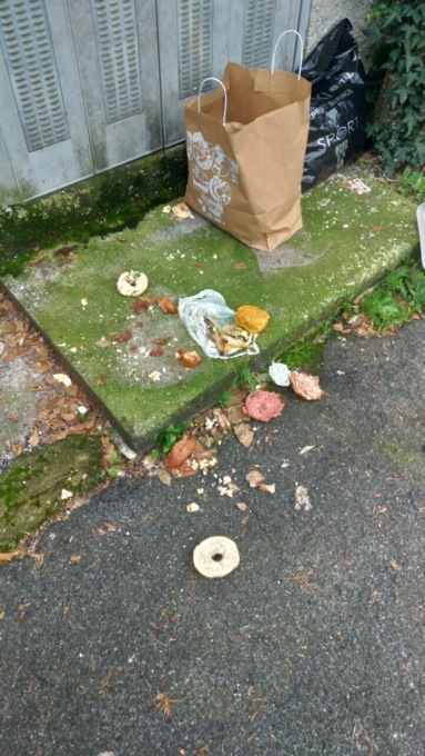 Resti di cibo e sacchetti: la situazione spazzatura di via Lanfranchi «è peggiorata»