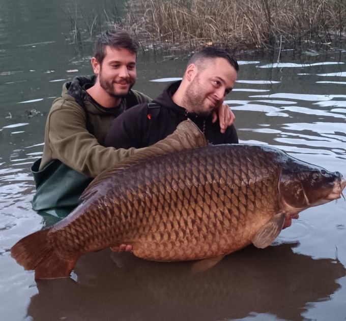 Al lago d’Endine pescata la più grande carpa mai certificata in Italia, che pesa oltre 35 chili
