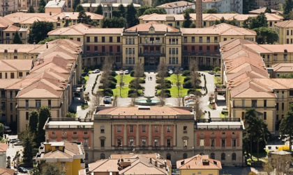 Cantiere all'ex ospedale, la Lipu Bergamo si scaglia contro l'abbattimento di 30 alberi