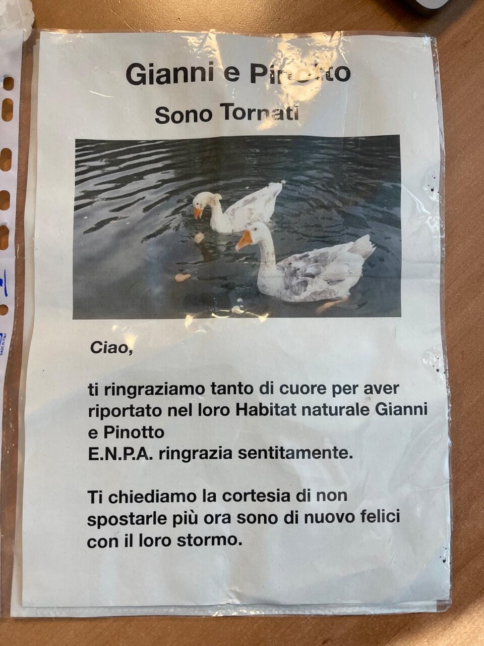 il ritorno