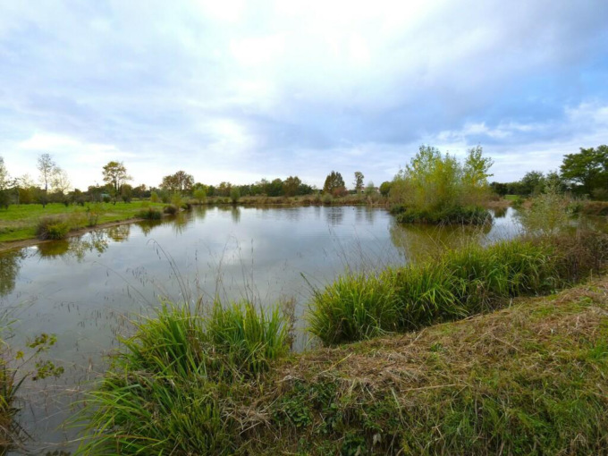 A Grumello al Piano una nuova “area umida”: saranno messe a dimora oltre mille piante