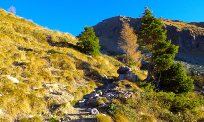 Da Foppolo fino alla vetta del monte Cadelle, in mezzo ai colori dell'autunno