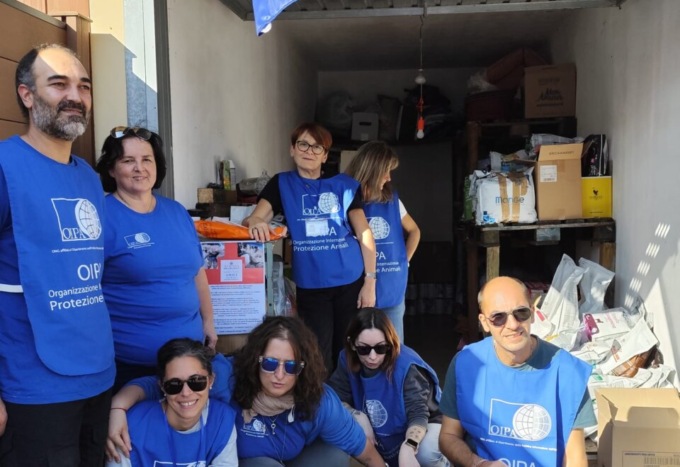 Gli “Angeli Blu” che da Curno (e non solo) hanno aiutato gli animali alluvionati in Emilia