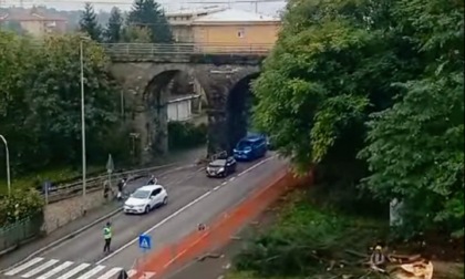 Proteste a Ponte San Pietro per gli alberi sacrificati per la nuova rotonda Zecchetti