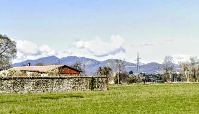 Resta incastrato in un macchinario per la raccolta del granturco: muore 59enne a Treviolo