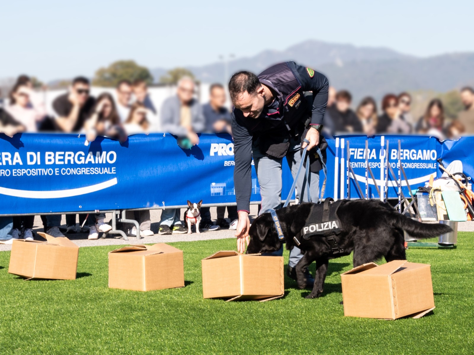 campionaria 2024 dog polizia 2