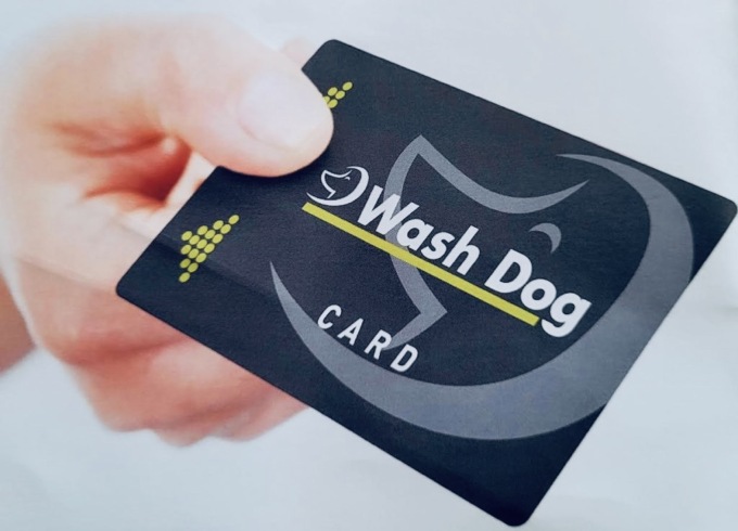 Dog Wash H24 | Dalmine – Sempre Aperto!
