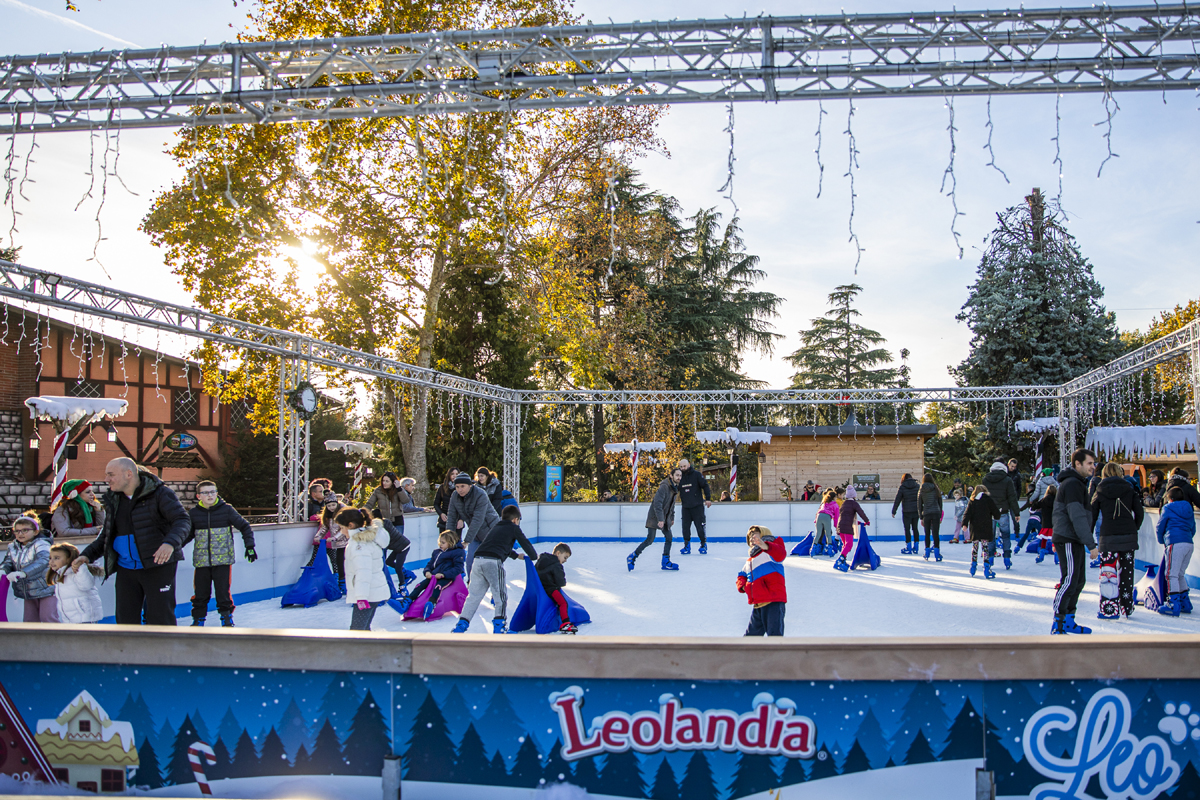 leolandia5