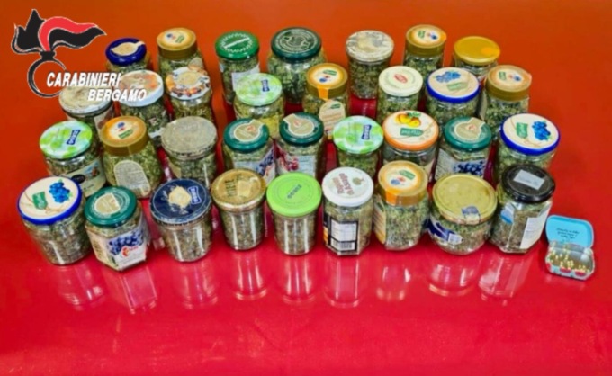 Barattoli di marijuana in taverna e una serra per coltivarla in giardino, denunciato 65enne a Verdellino