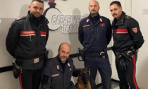 Omicidio di Pontirolo, trovata l’arma del delitto grazie al cane Cooper