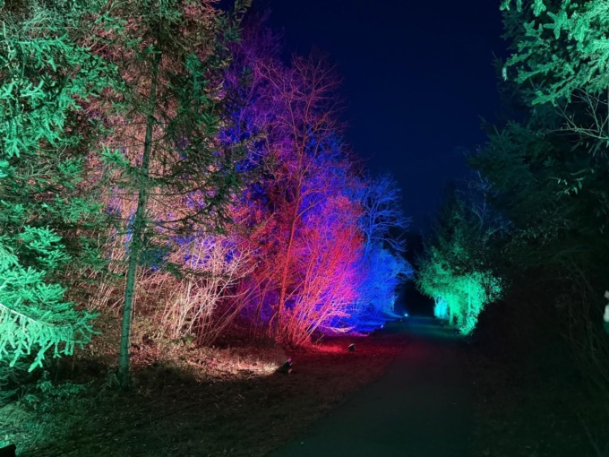 Appuntamento con il pianista Andrea Tonoli al “Bosco incantato” di Fino del Monte