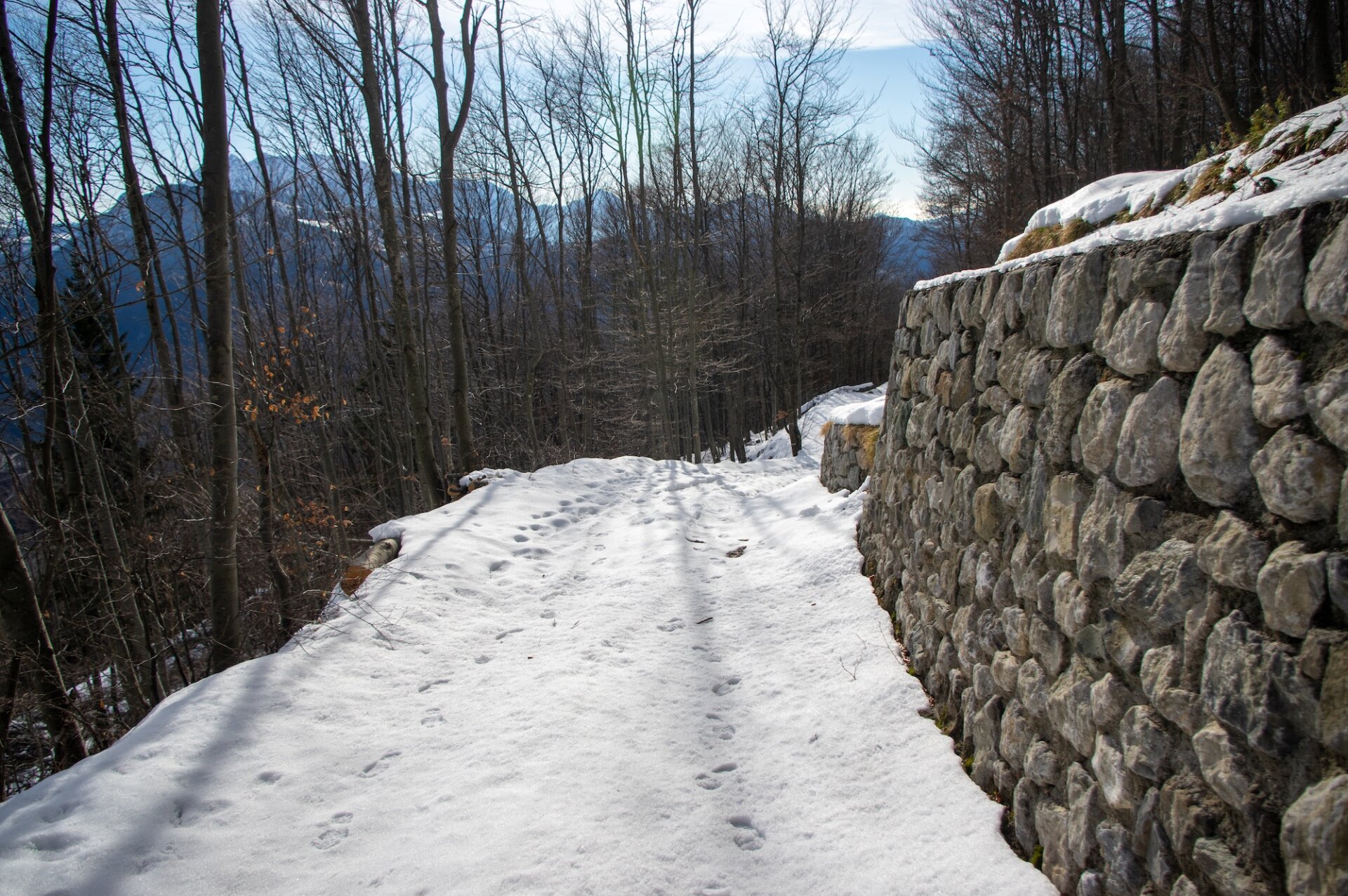 1 - Ciaspolata Passo del Grialeggio