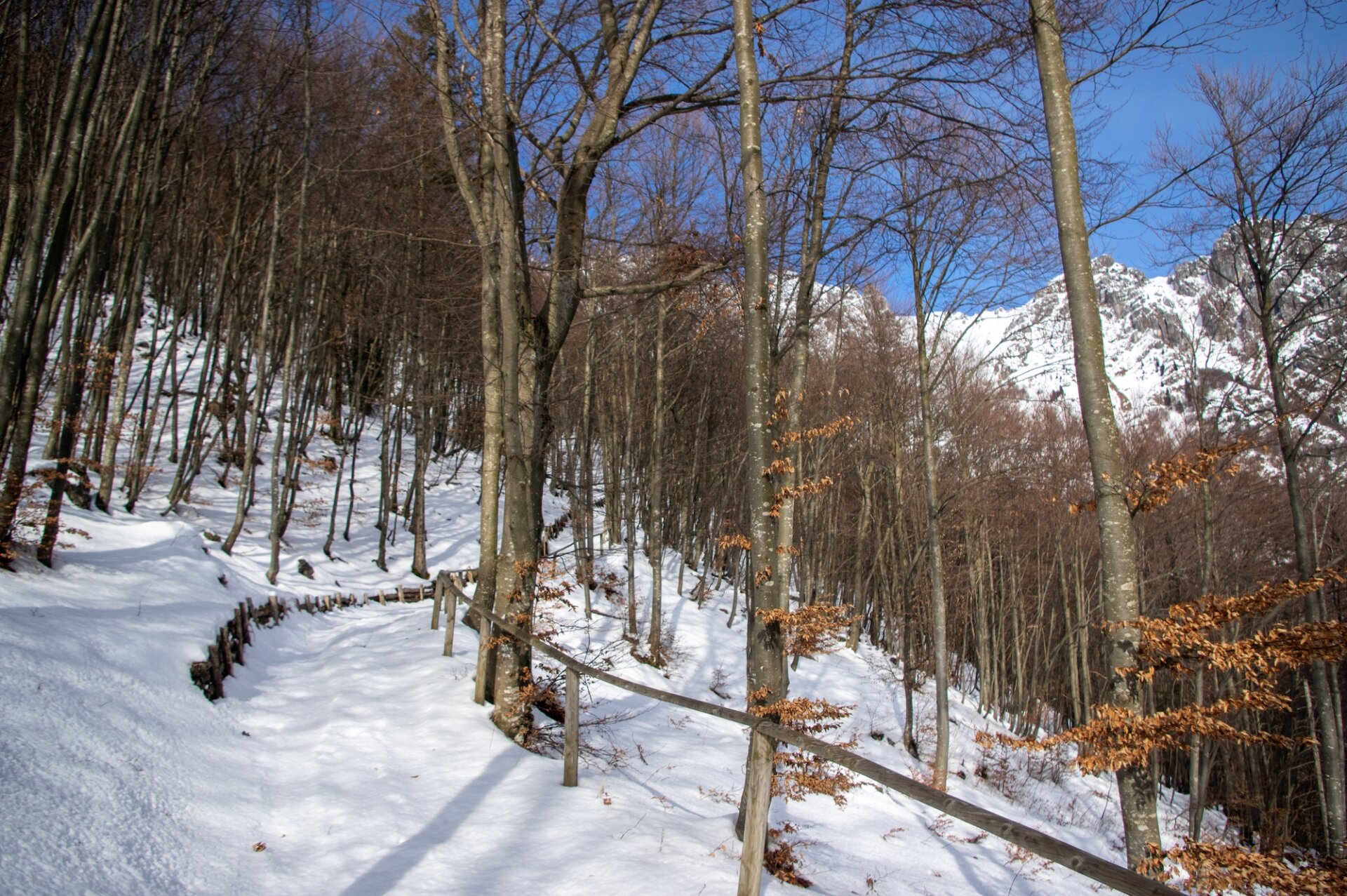 2 - Ciaspolata Passo del Grialeggio