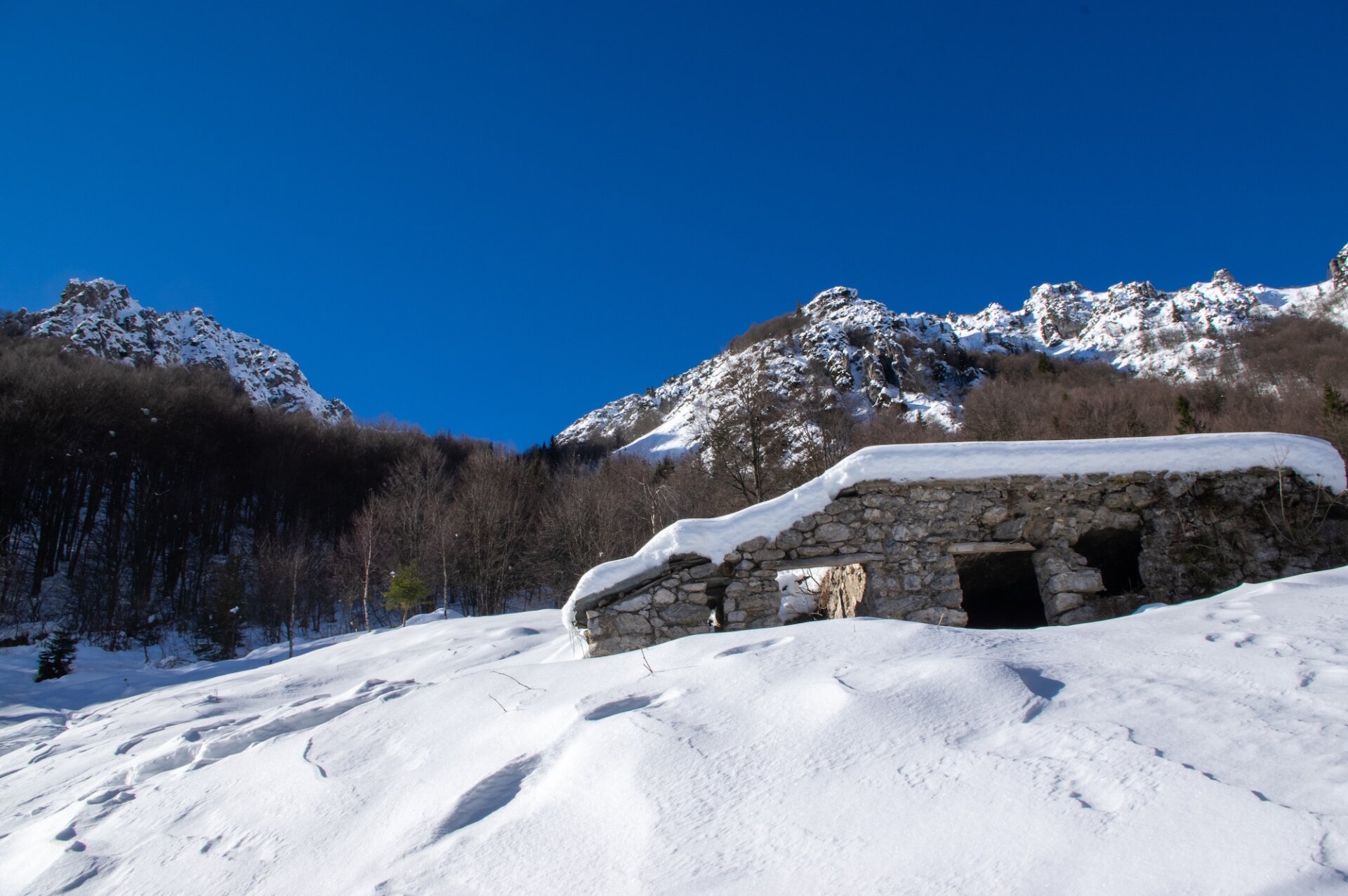 3 - Ciaspolata Passo del Grialeggio