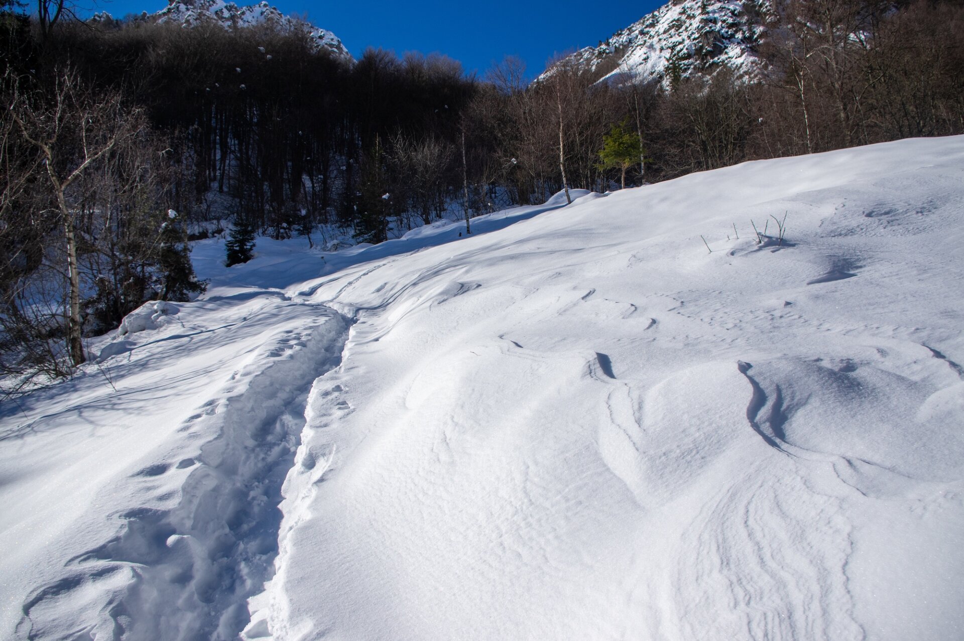 4 - Ciaspolata Passo del Grialeggio