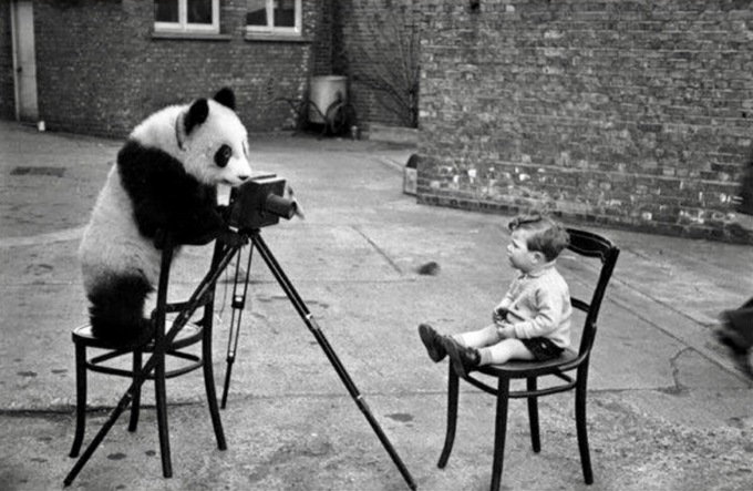 I bambini peggio dei panda: a Bergamo sono quasi una specie in via d’estinzione