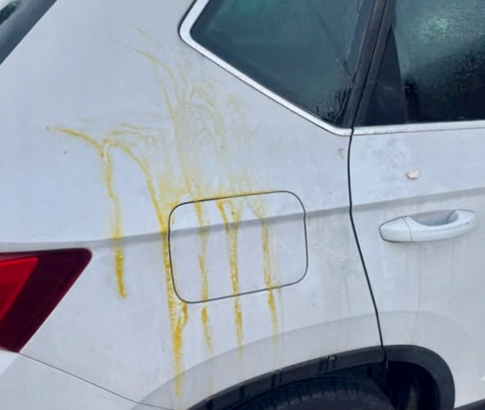 Lancio di uova a Stezzano, l’appello: «Controllate i vostri figli. E anche i frigoriferi»
