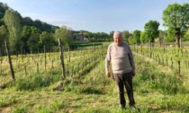 La storia di Giulio Mauri di Curno, pioniere del vino bio in provincia di Bergamo