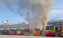 Colonna di fumo visibile da chilometri: carbonizzato autobus parcheggiato in via Rovelli