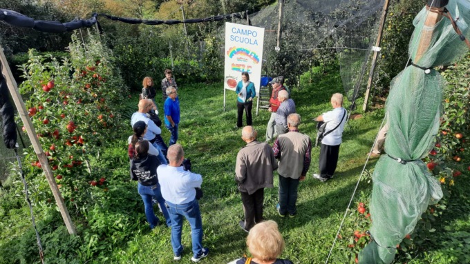 Dal melo al ciliegio: aperte le prenotazioni per acquistarli con i Frutticoltori Valle Brembana