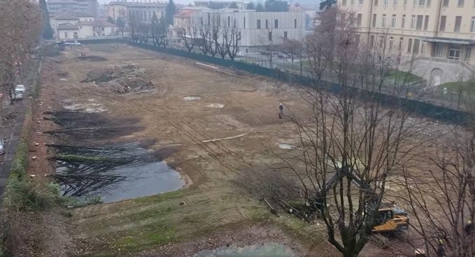 Alberi tagliati in via XXIV Maggio, anche l’assessora Ruzzini mastica amaro