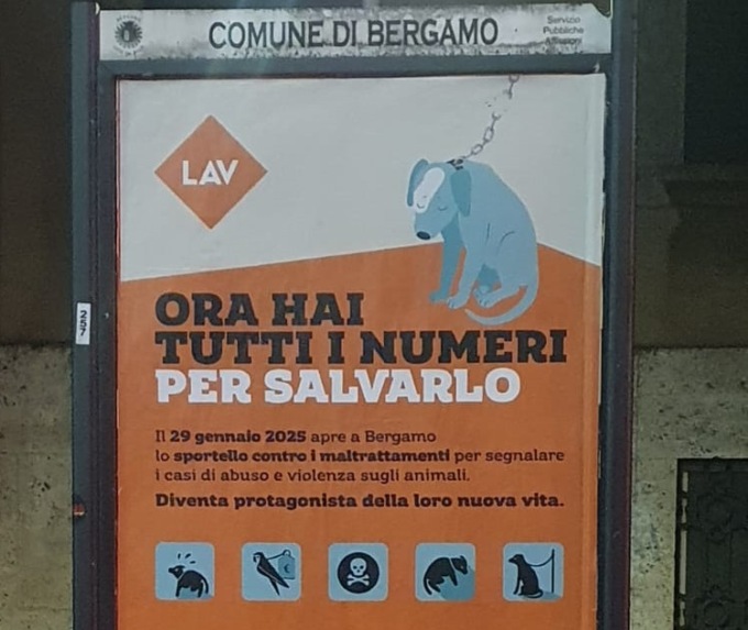 L’associazione animalista Lav apre uno sportello a Bergamo contro i maltrattamenti