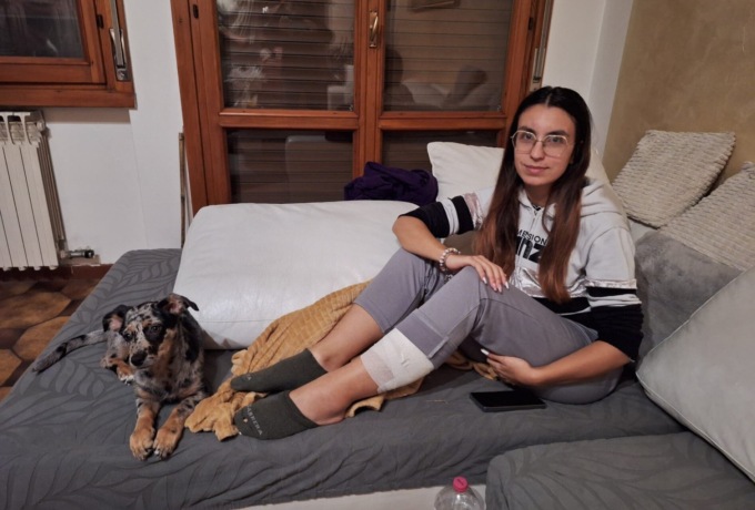 Morsa da una mini tarantola europea nell’area cani di Caravaggio: Capodanno da incubo