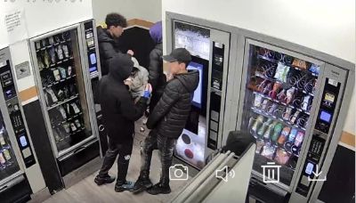 Mangiano tonno con le mani, in terra, al punto di ristoro: titolare pubblica le immagini sul web