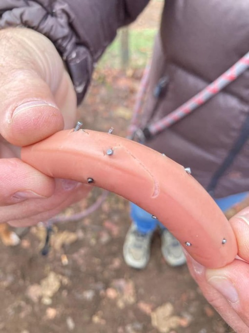 I “bocconcini” pieni di chiodi nell’area cani di Selvino e il post di fuoco di Lara Magoni