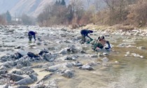 Una giornata insieme a quelli che cercano l'oro nei fiumi Serio e Brembo