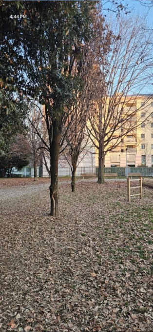 Fontana sistemata al parco della Clementina, il verde invece va lasciato così