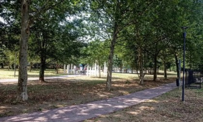 Bocconi avvelenati ed esche per topi in due parchi della città, il Comune: «Attenzione ai cani»