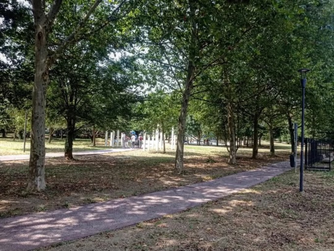 Bocconi avvelenati ed esche per topi in due parchi della città, il Comune: «Attenzione ai cani»
