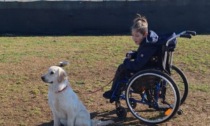Il Comune di Albino risponde alle difficoltà di Francesca e Denis: «Vicini alle persone con disabilità»