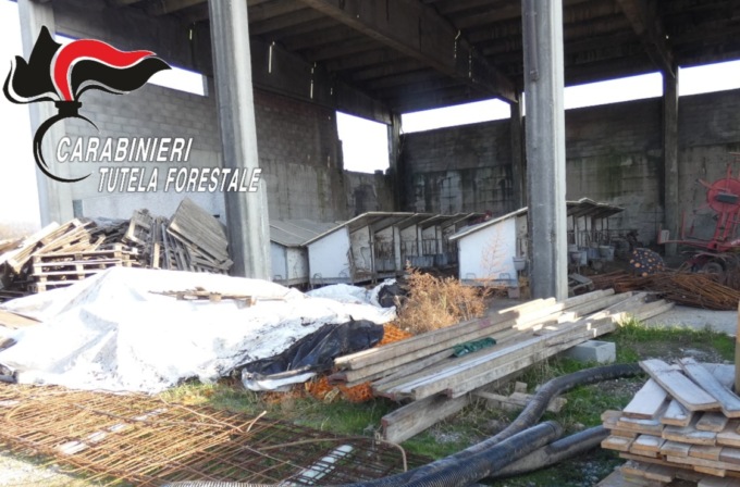 Illeciti ambientali e abusi edilizi: denunciati quattro titolari di un allevamento dell’Isola