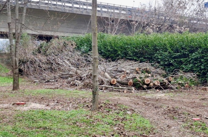 Adibito a deposito, ora il parco della Roncola di Treviolo è finito vittima del tarlo