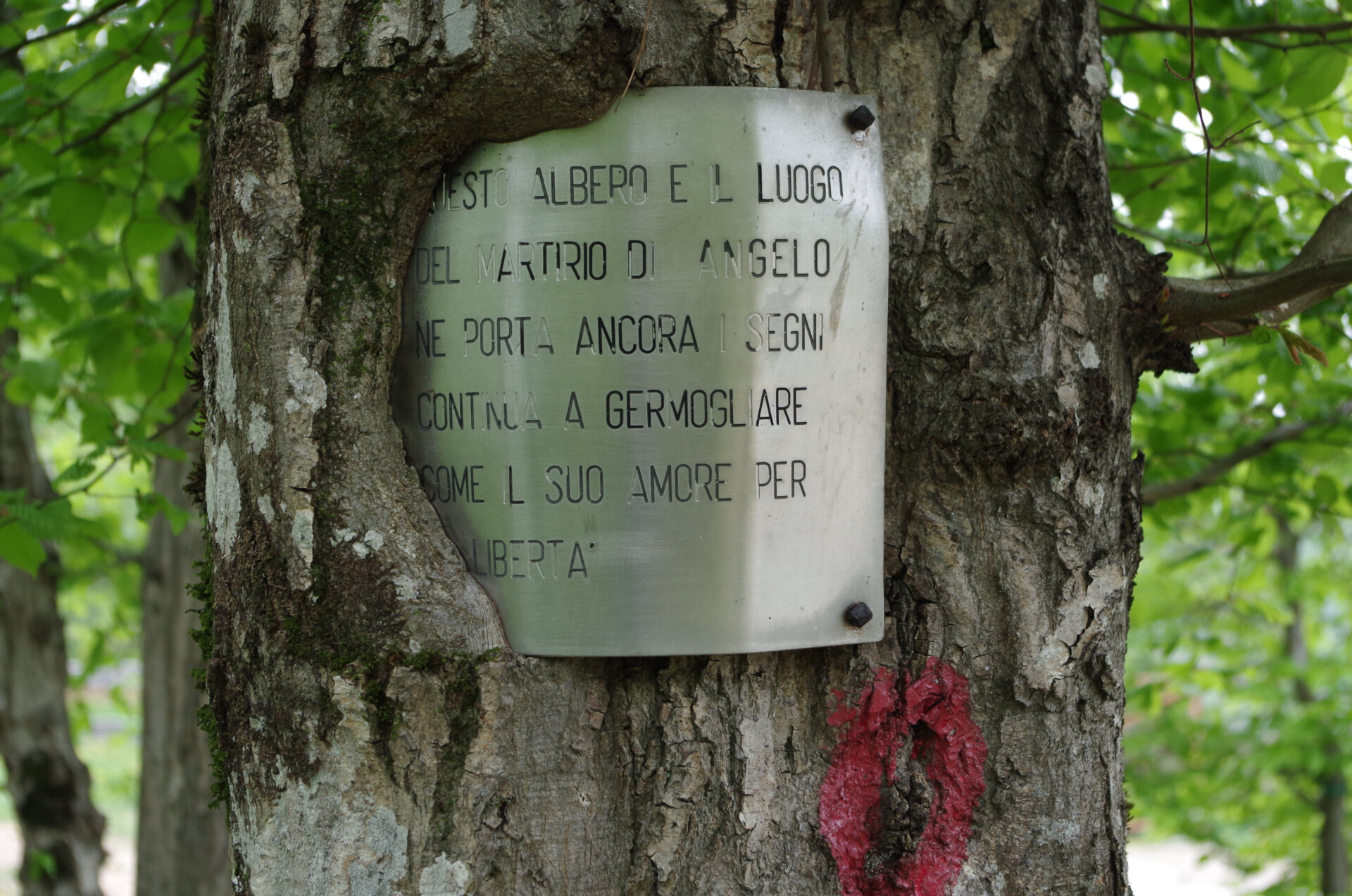 8 - Lapide in ricordo di Angelo gotti