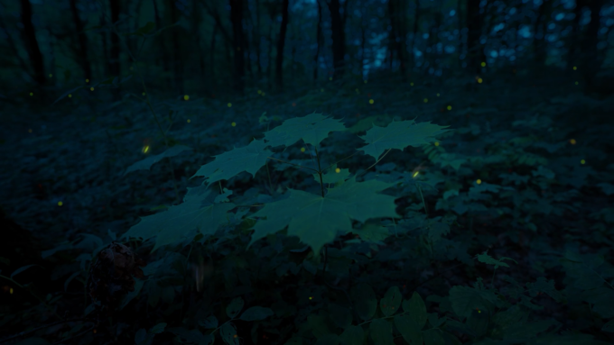 Svelato il mistero delle lucciole in città. Ecco la spiegazione di Aurea, la start-up del  fotovoltaico da remoto.