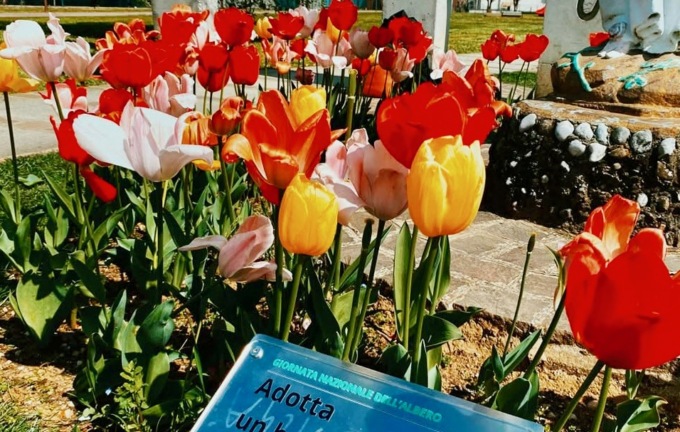 La gioia di bambini e bambine di Levate, che hanno “adottato” cinquecento tulipani