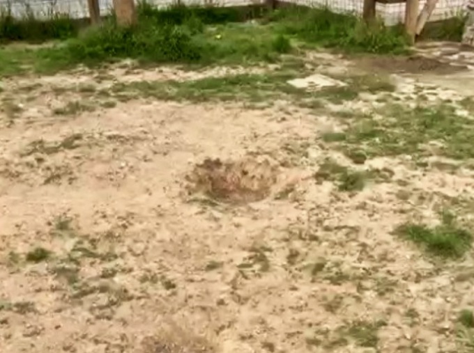 Caduta per colpa di una buca nell’area cani di Nembro: scoppia il caso