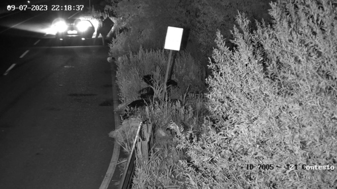 Più videosorveglianza contro l’abbandono dei rifiuti sulle strade provinciali bergamasche