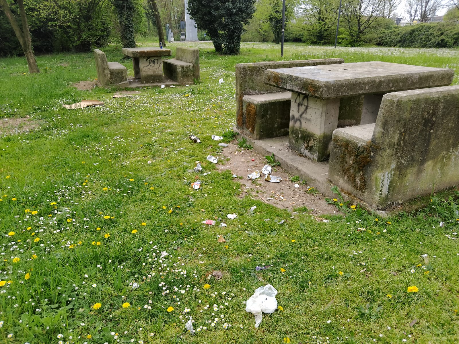 bosco delle magnolie